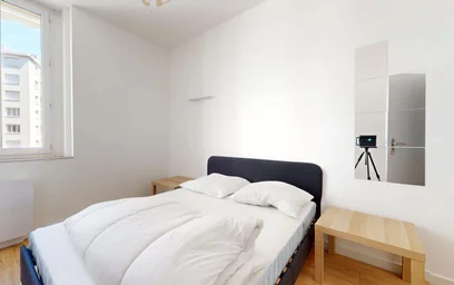 Gesamte Unterkunft in der 34 Rue Robespierre, 42100 Saint-Étienne, France, bild 11 von 21