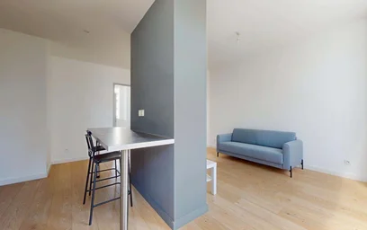 Gesamte Unterkunft in der 34 Rue Robespierre, 42100 Saint-Étienne, France, bild 17 von 21