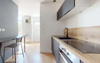 Gesamte Unterkunft in der 34 Rue Robespierre, 42100 Saint-Étienne, France, bild 8 von 21