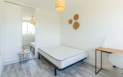 Stanza privata in 1 Rue Odilon Redon, 33400 Talence, France, immagine 8 di 12