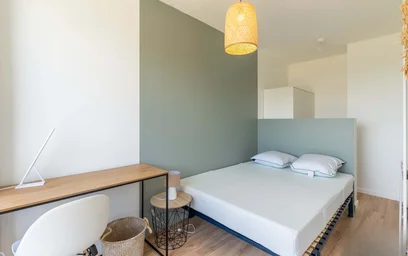 Stanza privata in 1 Rue Odilon Redon, 33400 Talence, France, immagine 10 di 12