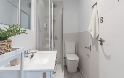 Shared room at Calle de Preciados, image 29 of 40