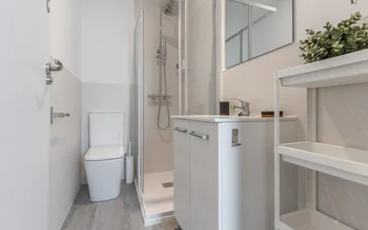 Shared room at Calle de Preciados, image 32 of 40