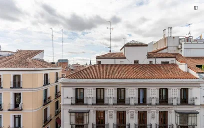 Shared room at Calle de Preciados, image 39 of 40