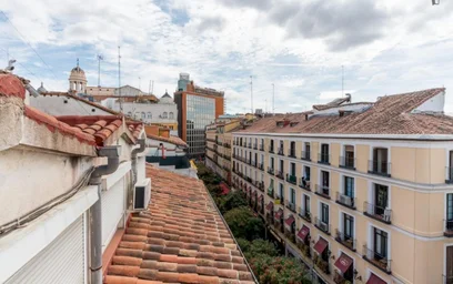 Shared room at Calle de Preciados, image 40 of 40