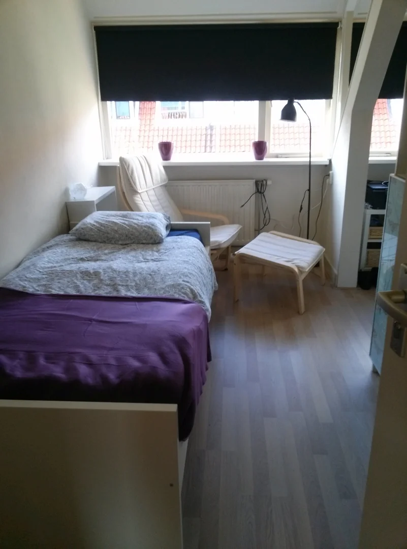 Habitación estudiantil funcional perfecta para estudiar en 