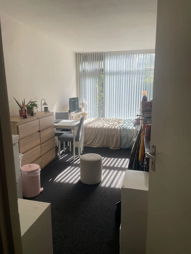 Habitación estudiantil funcional perfecta para estudiar en 