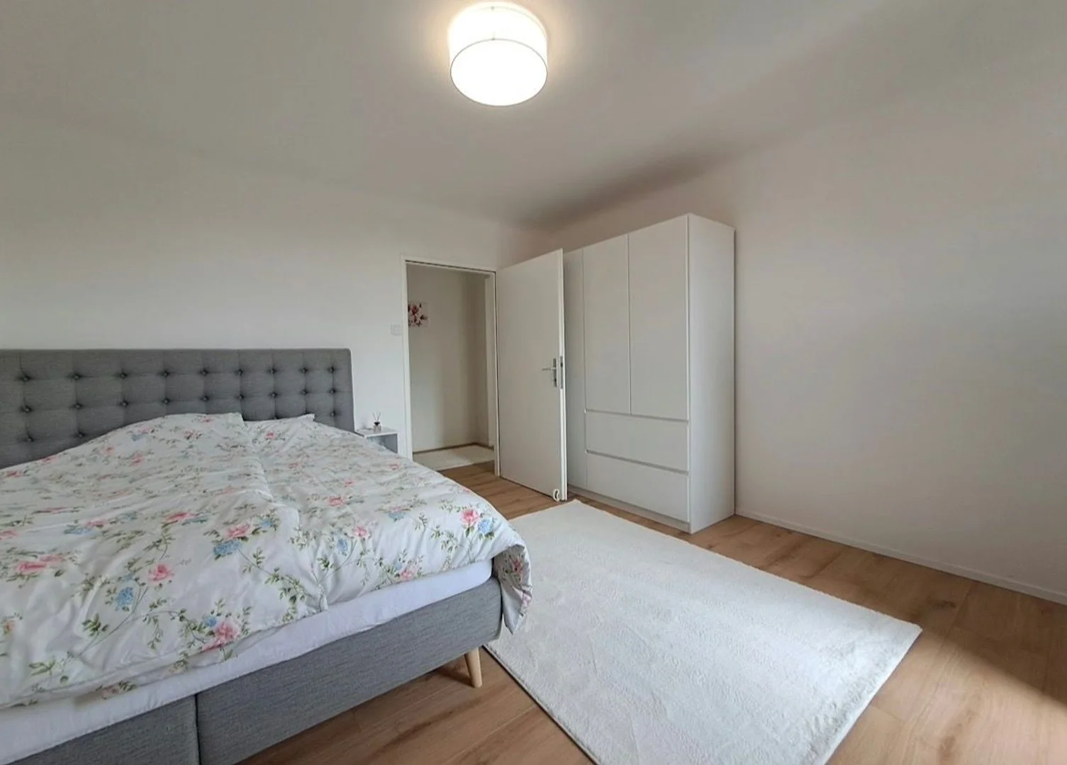 Affordable room for students with ample lighting in