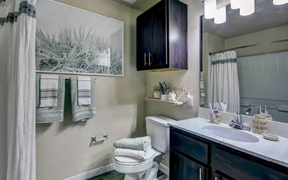 Appartamento intero in residence in 1001 UTA Blvd, Arlington, TX 76013, immagine 22 di 27