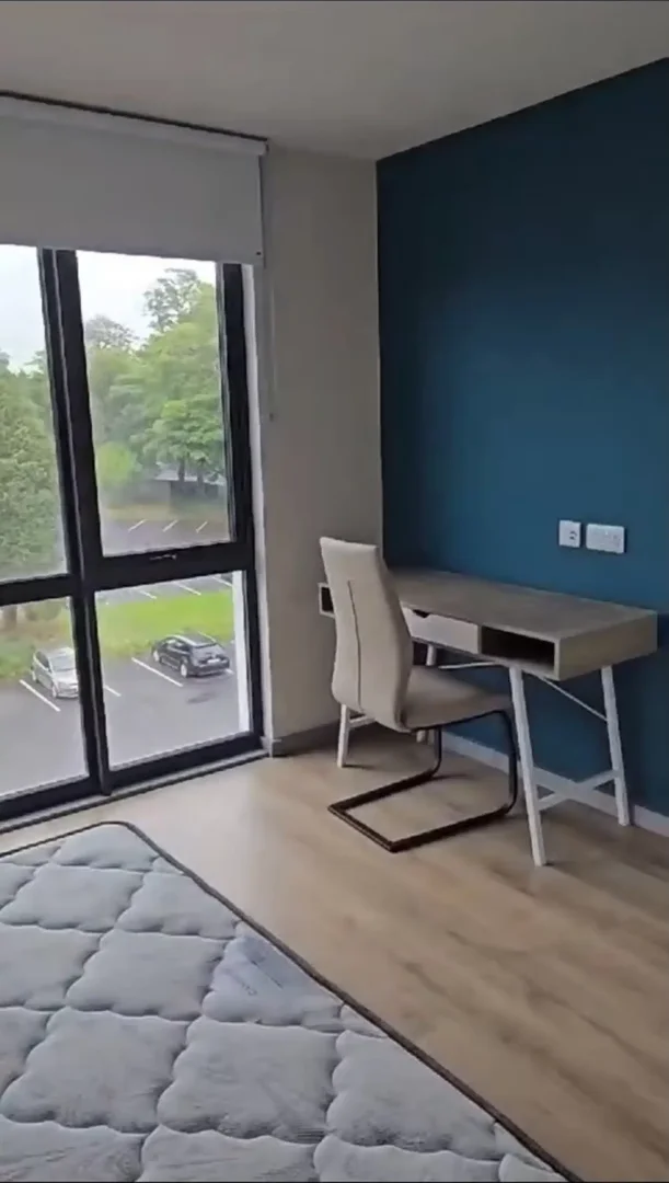 Affordable room for students with ample lighting in 
