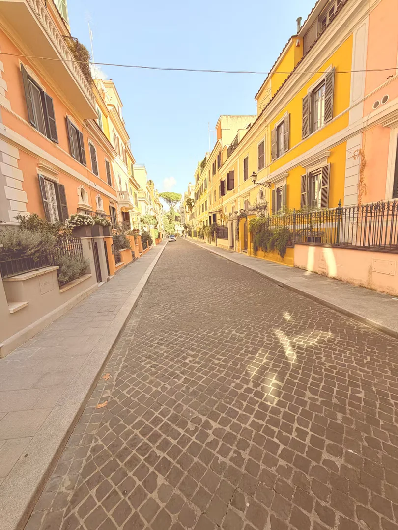 Viale del Vignola, Flaminio