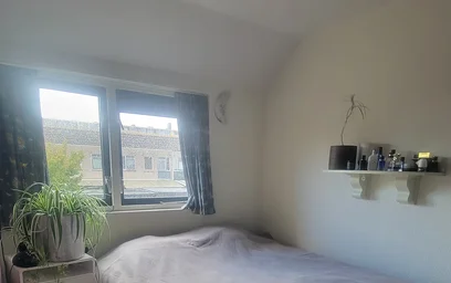 Bright private room in {area}