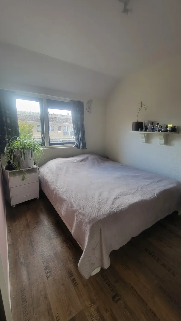 Chambre abordable pour les étudiants avec un bon éclairage dans 