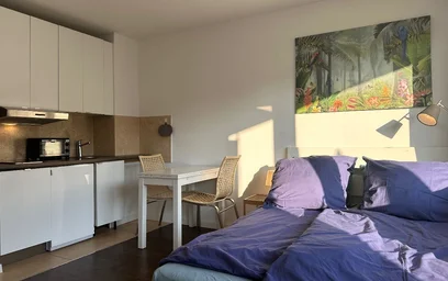 Całe miejsce Dachauer Straße, obraz 2 22