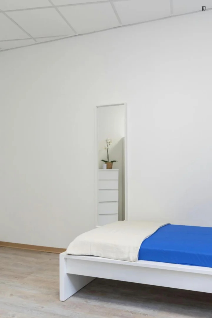 'de modern olanaklara sahip öğrenci dostu oda