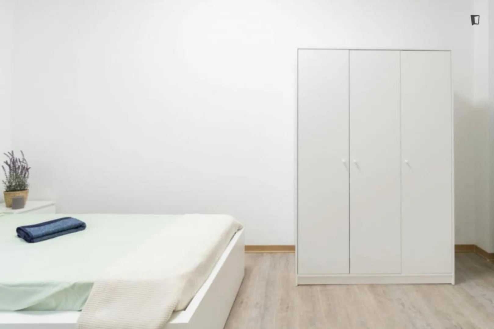 Habitación estudiantil económica cerca del campus en 