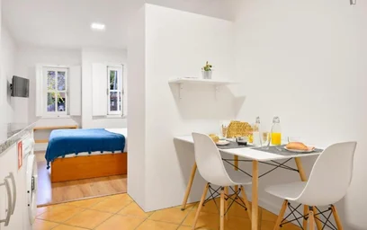 Studio at R. Dr. Domingos Soares, image 7 of 12