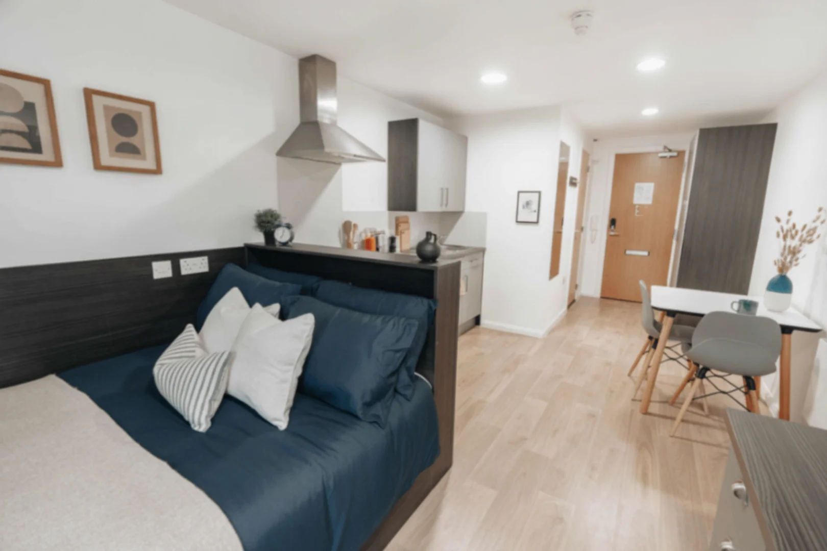 Modern student studio with complete amenities in