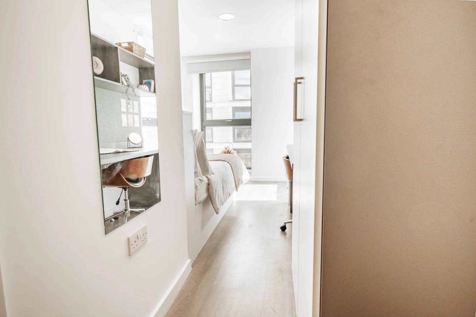 Affordable room for students with ample lighting in 