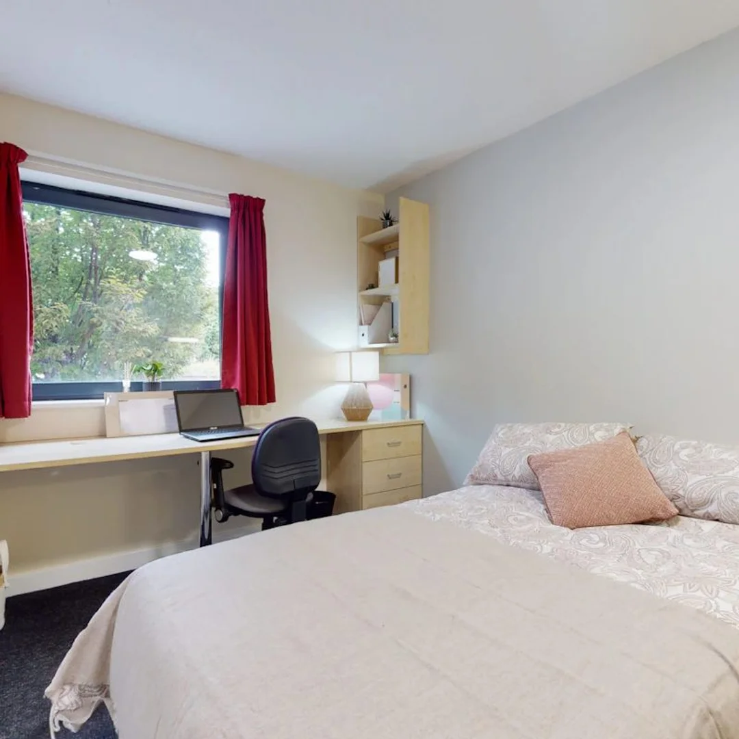 Chambre confortable pour étudiants disponible dans 