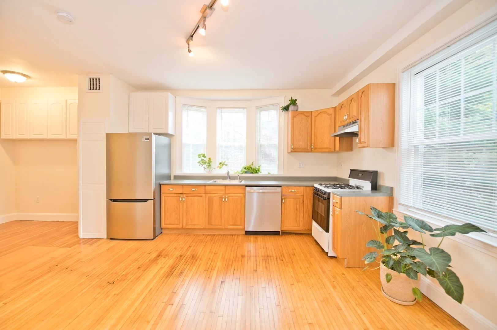 7, Morrill St., Unit 1F, Dorchester, Boston, MA, 02125
