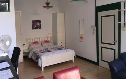 Gesamte Unterkunft in der Nicolaistraat, Duinoord, bild 6 von 10
