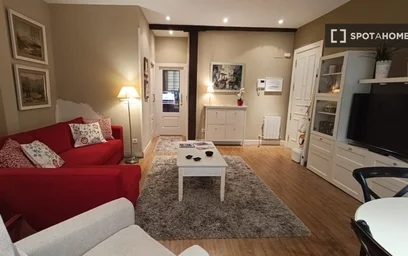 Entire apartment at Barrio la Cruz, image 11 of 19