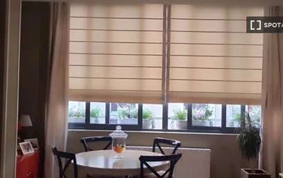 Entire apartment at Barrio la Cruz, image 14 of 19