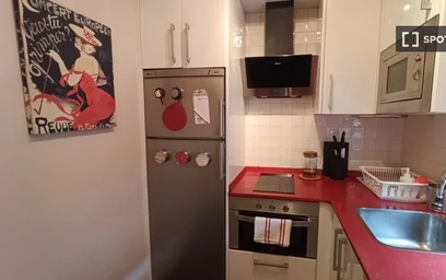 Entire apartment at Barrio la Cruz, image 9 of 19