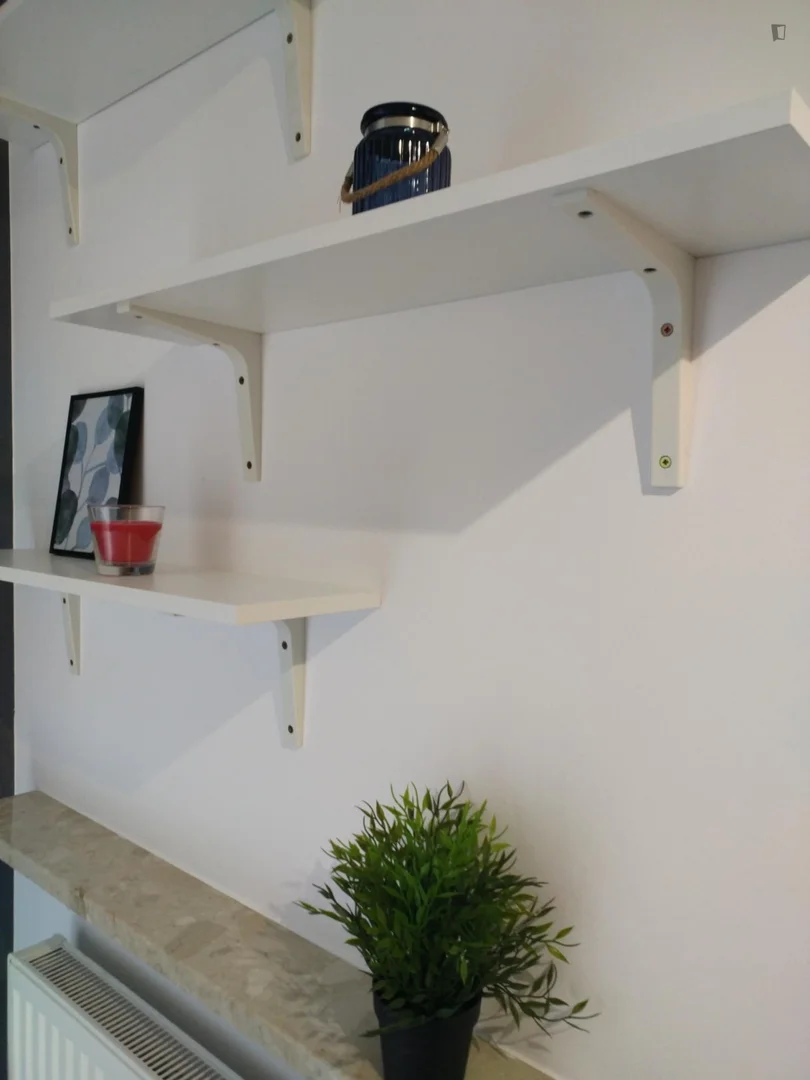 'de modern olanaklara sahip öğrenci dostu oda