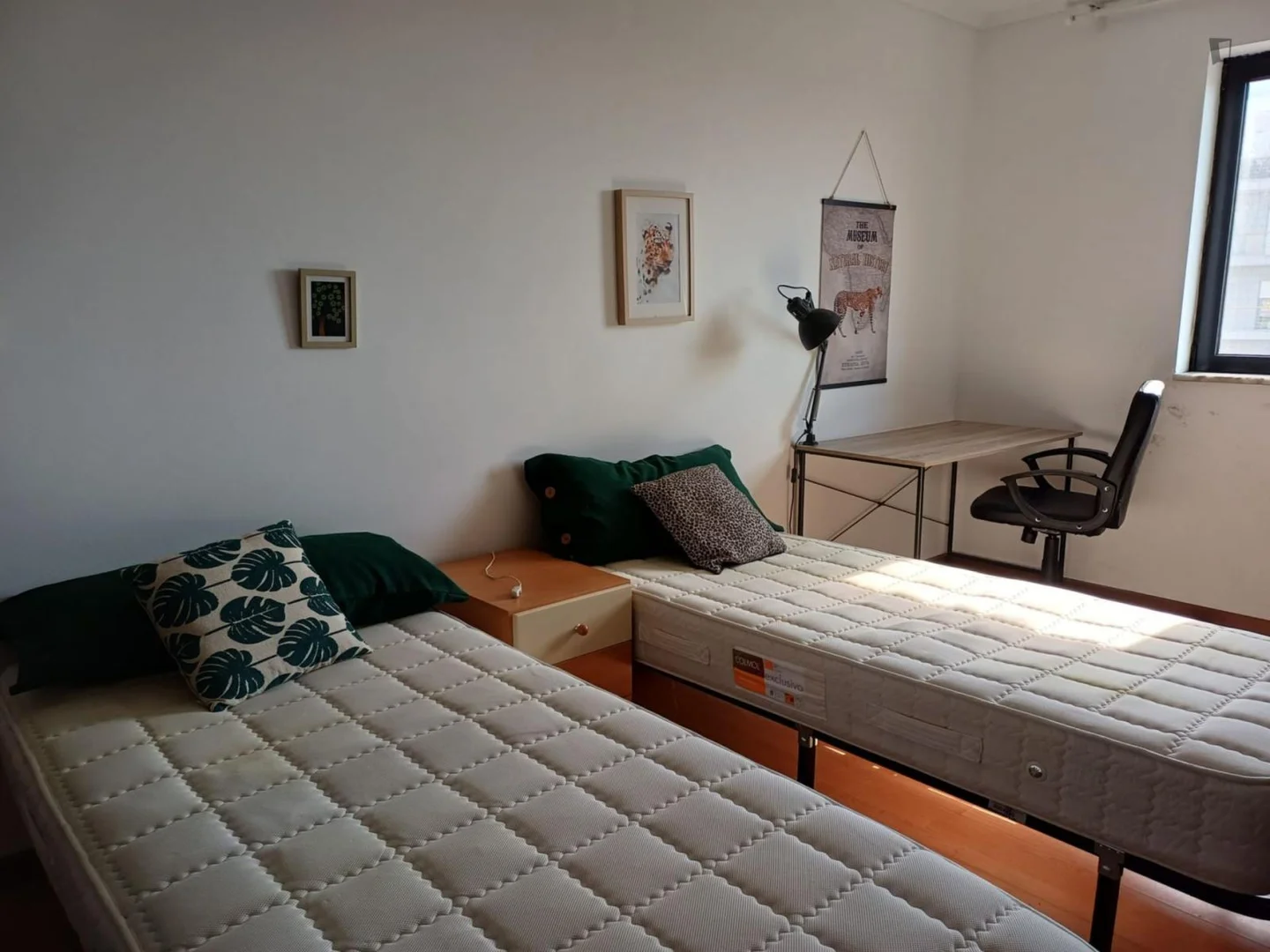 Quarto acolhedor para estudantes disponível em 