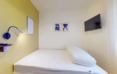 Prywatny pokój 137 avenue de Lodève, obraz 16 20
