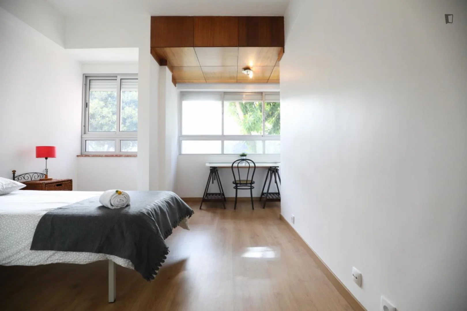 Affordable room for students with ample lighting in 