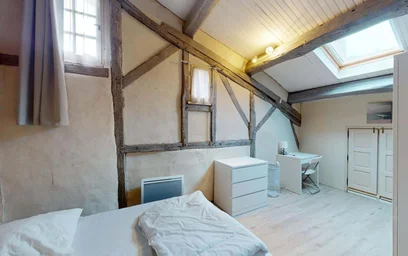 Habitación privada en 45 Rue des 3 Rois, 86000 Poitiers, France, imagen 2 de 28