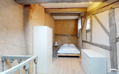 Habitación privada en 45 Rue des 3 Rois, 86000 Poitiers, France, imagen 3 de 28