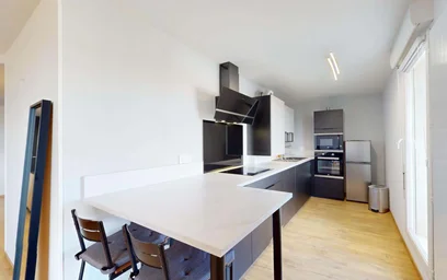 Apartamento inteiro em 21 Rue Dr Hospital, 63100 Clermont-Ferrand, France, imagem 15 de 21