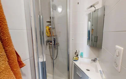 Stanza privata in 19 Av. du Général de Gaulle, 37000 Tours, France, immagine 15 di 21