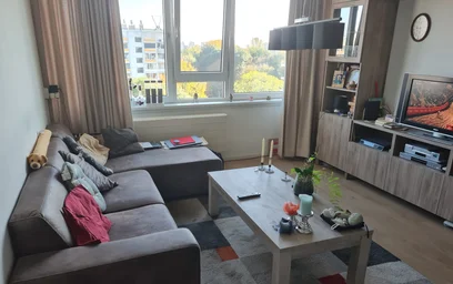 Modern and bright flat in {area}