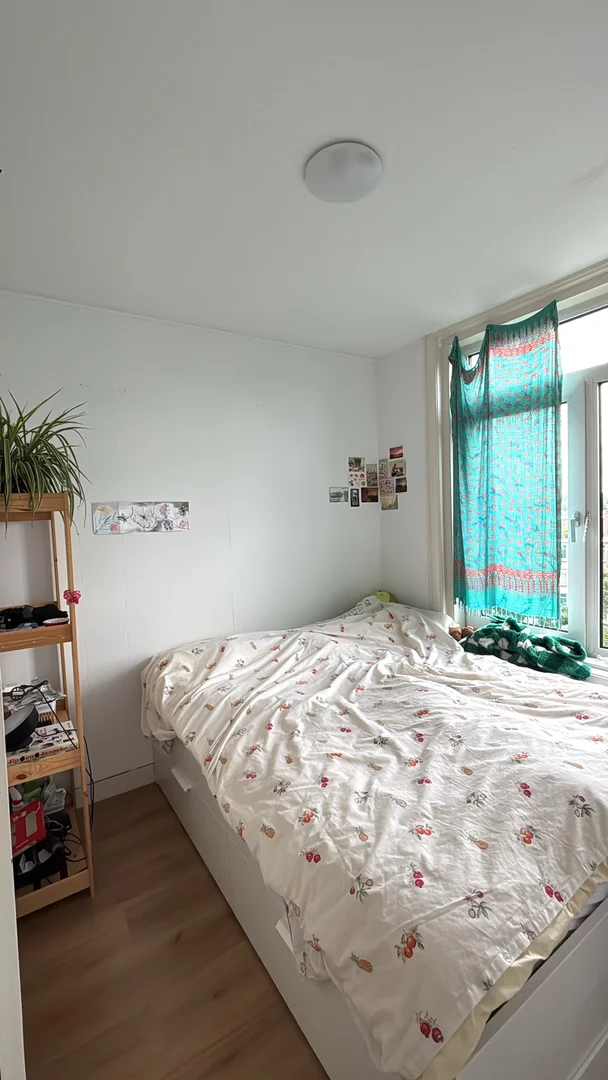 Room for rent in student apartment in , fully furnished
