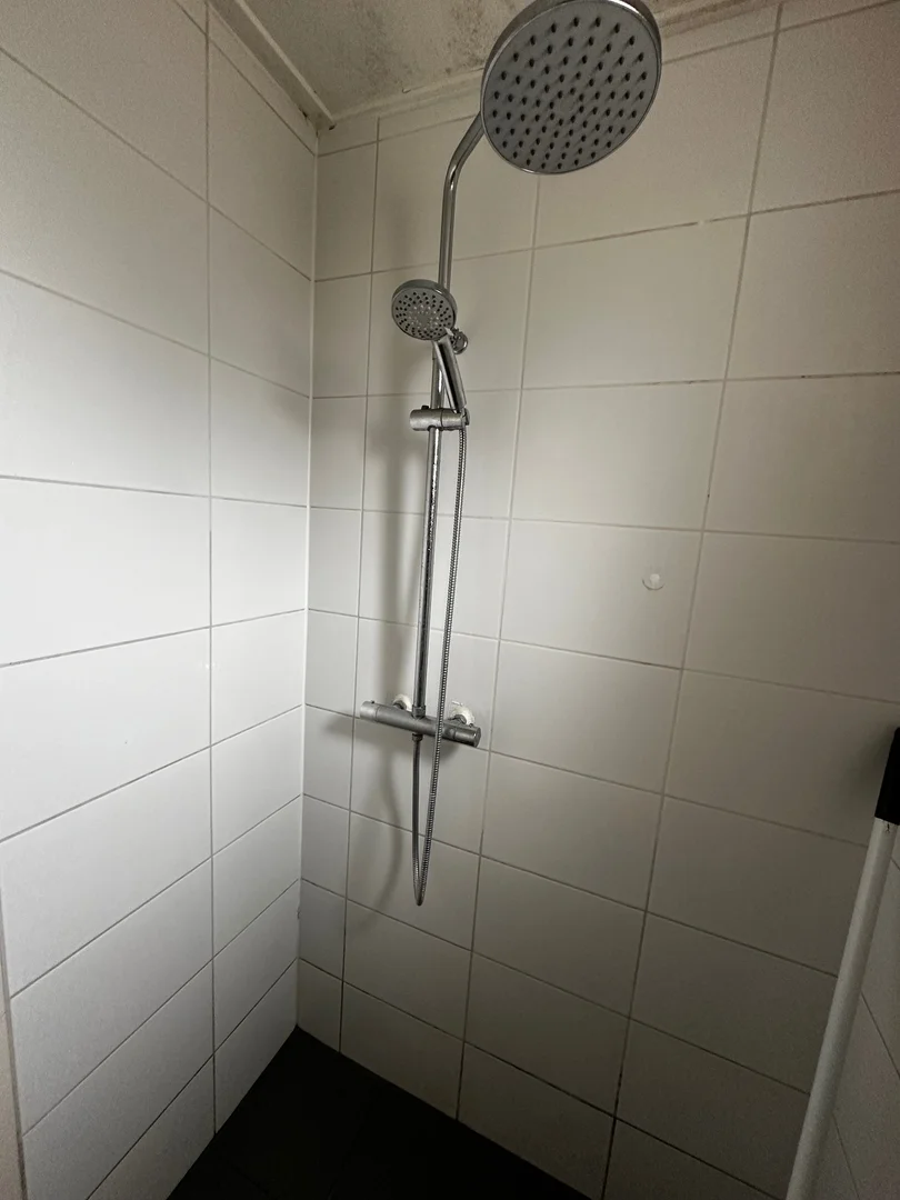Helles und luftiges Studentenzimmer mit einfachem Zugang zur Universität in 