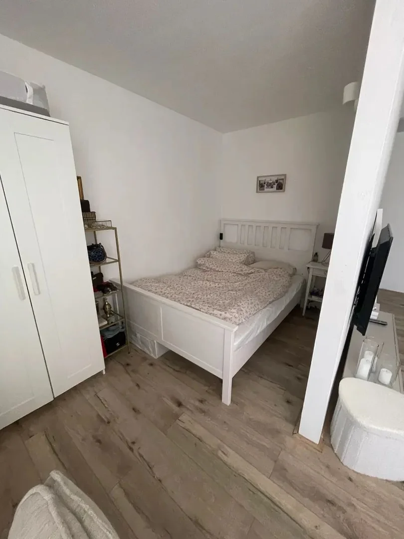 Elegancka kawalerka w pobliżu kampusu w 