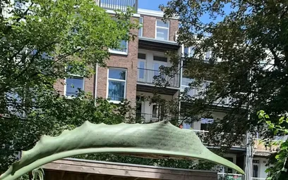 Alojamiento entero en Da Costastraat, Oud-West, imagen 10 de 10