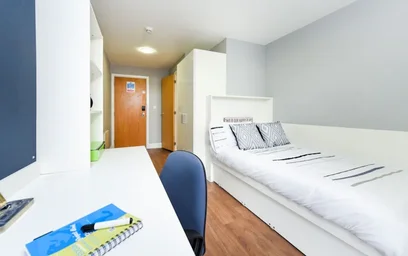 Bright private room in {area}