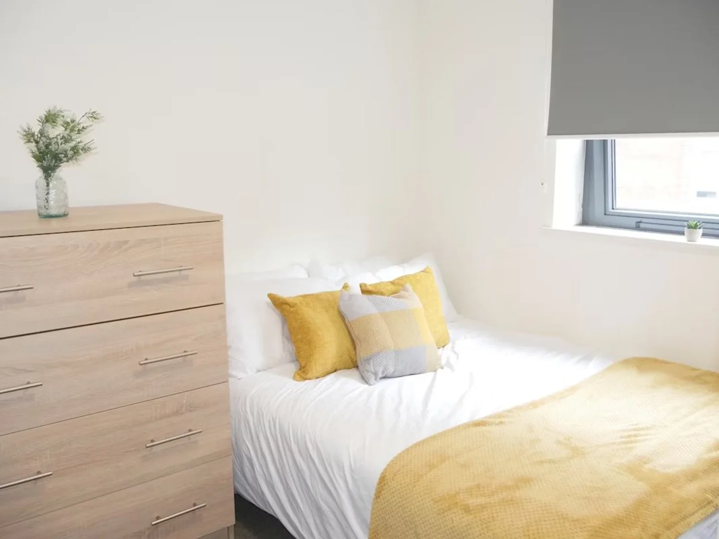 59 Edward St, Sheffield S3 7BY, United Kingdom                  