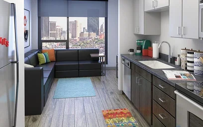 Apartamento inteiro em residência em LightView, 744 Columbus Ave, Boston, MA 02120, imagem 3 de 25
