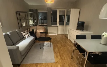 Kawalerka Torekovsgatan 22B, obraz 1 25
