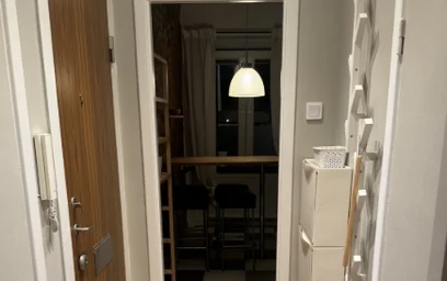 Kawalerka Torekovsgatan 22B, obraz 20 25