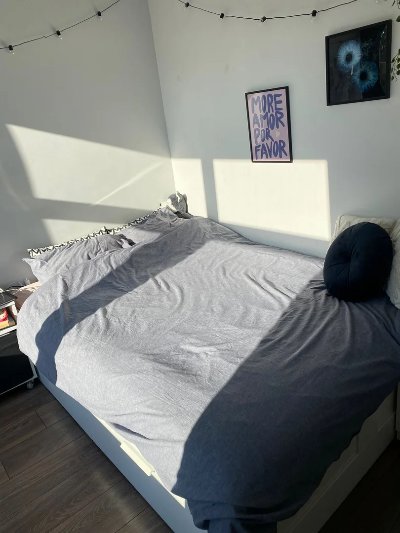 Cozy room for students available in 