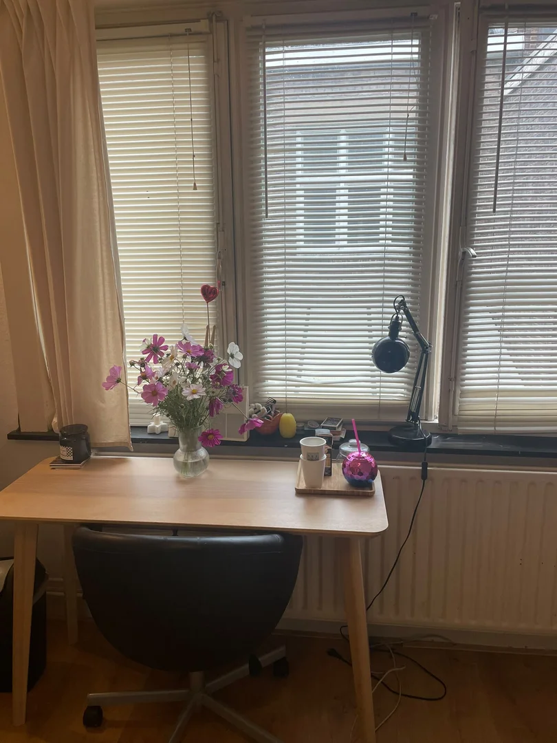 Niedrogi pokój dla studentów z dużym oświetleniem w 