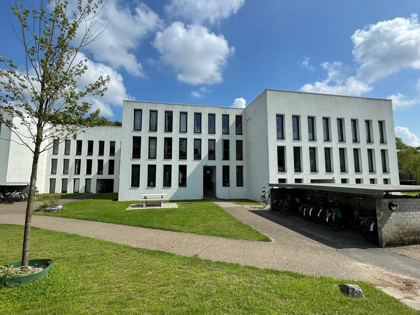 Bezahlbares Zimmer für Studenten mit ausreichender Beleuchtung in 